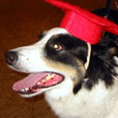 Star was adopted in June, 2004